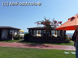 [P01] Baldachine care se putea inchiria » foto by nitul
 - 
<span class="allrVoted glyphicon glyphicon-heart hidden" id="av1255579"></span>
<a class="m-l-10 hidden" id="sv1255579" onclick="voting_Foto_DelVot(,1255579,89)" role="button">șterge vot <span class="glyphicon glyphicon-remove"></span></a>
<a id="v91255579" class=" c-red"  onclick="voting_Foto_SetVot(1255579)" role="button"><span class="glyphicon glyphicon-heart-empty"></span> <b>LIKE</b> = Votează poza</a> <img class="hidden"  id="f1255579W9" src="/imagini/loader.gif" border="0" /><span class="AjErrMes hidden" id="e1255579ErM"></span>