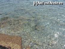 [P30] Bancurile de pesti carora turistii le aruncau mancare de la una din terasele de pe faleza » foto by valyionsc
 - 
<span class="allrVoted glyphicon glyphicon-heart hidden" id="av497478"></span>
<a class="m-l-10 hidden" id="sv497478" onclick="voting_Foto_DelVot(,497478,890)" role="button">șterge vot <span class="glyphicon glyphicon-remove"></span></a>
<a id="v9497478" class=" c-red"  onclick="voting_Foto_SetVot(497478)" role="button"><span class="glyphicon glyphicon-heart-empty"></span> <b>LIKE</b> = Votează poza</a> <img class="hidden"  id="f497478W9" src="/imagini/loader.gif" border="0" /><span class="AjErrMes hidden" id="e497478ErM"></span>