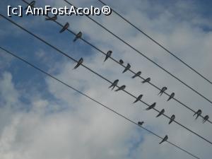 [P14] Partitura... muzicala. O canta careva?  » foto by RossoNerro
 - 
<span class="allrVoted glyphicon glyphicon-heart hidden" id="av832543"></span>
<a class="m-l-10 hidden" id="sv832543" onclick="voting_Foto_DelVot(,832543,890)" role="button">șterge vot <span class="glyphicon glyphicon-remove"></span></a>
<a id="v9832543" class=" c-red"  onclick="voting_Foto_SetVot(832543)" role="button"><span class="glyphicon glyphicon-heart-empty"></span> <b>LIKE</b> = Votează poza</a> <img class="hidden"  id="f832543W9" src="/imagini/loader.gif" border="0" /><span class="AjErrMes hidden" id="e832543ErM"></span>
