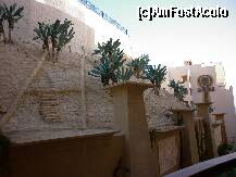 [P02] vedere din camera » foto by HUBABUBALADUEL
 - 
<span class="allrVoted glyphicon glyphicon-heart hidden" id="av169978"></span>
<a class="m-l-10 hidden" id="sv169978" onclick="voting_Foto_DelVot(,169978,898)" role="button">șterge vot <span class="glyphicon glyphicon-remove"></span></a>
<a id="v9169978" class=" c-red"  onclick="voting_Foto_SetVot(169978)" role="button"><span class="glyphicon glyphicon-heart-empty"></span> <b>LIKE</b> = Votează poza</a> <img class="hidden"  id="f169978W9" src="/imagini/loader.gif" border="0" /><span class="AjErrMes hidden" id="e169978ErM"></span>