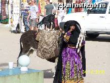 [P04]  -- <small>// FĂRĂ DESCRIERE</small> » foto by oanadru
 - 
<span class="allrVoted glyphicon glyphicon-heart hidden" id="av68804"></span>
<a class="m-l-10 hidden" id="sv68804" onclick="voting_Foto_DelVot(,68804,898)" role="button">șterge vot <span class="glyphicon glyphicon-remove"></span></a>
<a id="v968804" class=" c-red"  onclick="voting_Foto_SetVot(68804)" role="button"><span class="glyphicon glyphicon-heart-empty"></span> <b>LIKE</b> = Votează poza</a> <img class="hidden"  id="f68804W9" src="/imagini/loader.gif" border="0" /><span class="AjErrMes hidden" id="e68804ErM"></span>