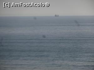 [P19] Detaliu de la poza anterioara :)  » foto by fanespoitorul
 - 
<span class="allrVoted glyphicon glyphicon-heart hidden" id="av958143"></span>
<a class="m-l-10 hidden" id="sv958143" onclick="voting_Foto_DelVot(,958143,920)" role="button">șterge vot <span class="glyphicon glyphicon-remove"></span></a>
<a id="v9958143" class=" c-red"  onclick="voting_Foto_SetVot(958143)" role="button"><span class="glyphicon glyphicon-heart-empty"></span> <b>LIKE</b> = Votează poza</a> <img class="hidden"  id="f958143W9" src="/imagini/loader.gif" border="0" /><span class="AjErrMes hidden" id="e958143ErM"></span>