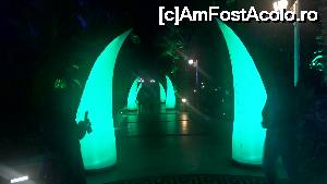 [P15] party » foto by lorand
 - 
<span class="allrVoted glyphicon glyphicon-heart hidden" id="av681475"></span>
<a class="m-l-10 hidden" id="sv681475" onclick="voting_Foto_DelVot(,681475,93)" role="button">șterge vot <span class="glyphicon glyphicon-remove"></span></a>
<a id="v9681475" class=" c-red"  onclick="voting_Foto_SetVot(681475)" role="button"><span class="glyphicon glyphicon-heart-empty"></span> <b>LIKE</b> = Votează poza</a> <img class="hidden"  id="f681475W9" src="/imagini/loader.gif" border="0" /><span class="AjErrMes hidden" id="e681475ErM"></span>