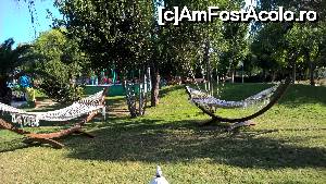 [P17] relaxare » foto by lorand
 - 
<span class="allrVoted glyphicon glyphicon-heart hidden" id="av681477"></span>
<a class="m-l-10 hidden" id="sv681477" onclick="voting_Foto_DelVot(,681477,93)" role="button">șterge vot <span class="glyphicon glyphicon-remove"></span></a>
<a id="v9681477" class=" c-red"  onclick="voting_Foto_SetVot(681477)" role="button"><span class="glyphicon glyphicon-heart-empty"></span> <b>LIKE</b> = Votează poza</a> <img class="hidden"  id="f681477W9" src="/imagini/loader.gif" border="0" /><span class="AjErrMes hidden" id="e681477ErM"></span>