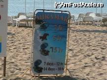 [P02]  -- <small>// FĂRĂ DESCRIERE</small> » foto by CRY
 - 
<span class="allrVoted glyphicon glyphicon-heart hidden" id="av42891"></span>
<a class="m-l-10 hidden" id="sv42891" onclick="voting_Foto_DelVot(,42891,935)" role="button">șterge vot <span class="glyphicon glyphicon-remove"></span></a>
<a id="v942891" class=" c-red"  onclick="voting_Foto_SetVot(42891)" role="button"><span class="glyphicon glyphicon-heart-empty"></span> <b>LIKE</b> = Votează poza</a> <img class="hidden"  id="f42891W9" src="/imagini/loader.gif" border="0" /><span class="AjErrMes hidden" id="e42891ErM"></span>