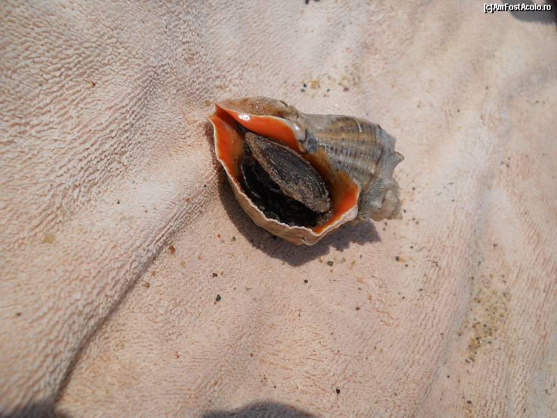 [P21]  -- <small>// FĂRĂ DESCRIERE</small> » foto by claudia_a*
 - 
<span class="allrVoted glyphicon glyphicon-heart hidden" id="av95403"></span>
<a class="m-l-10 hidden" id="sv95403" onclick="voting_Foto_DelVot(,95403,935)" role="button">șterge vot <span class="glyphicon glyphicon-remove"></span></a>
<a id="v995403" class=" c-red"  onclick="voting_Foto_SetVot(95403)" role="button"><span class="glyphicon glyphicon-heart-empty"></span> <b>LIKE</b> = Votează poza</a> <img class="hidden"  id="f95403W9" src="/imagini/loader.gif" border="0" /><span class="AjErrMes hidden" id="e95403ErM"></span>