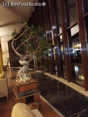 [P17] În lobby- ieșirea spre piscine » foto by Green🦋
 - 
<span class="allrVoted glyphicon glyphicon-heart hidden" id="av1322238"></span>
<a class="m-l-10 hidden" id="sv1322238" onclick="voting_Foto_DelVot(,1322238,935)" role="button">șterge vot <span class="glyphicon glyphicon-remove"></span></a>
<a id="v91322238" class=" c-red"  onclick="voting_Foto_SetVot(1322238)" role="button"><span class="glyphicon glyphicon-heart-empty"></span> <b>LIKE</b> = Votează poza</a> <img class="hidden"  id="f1322238W9" src="/imagini/loader.gif" border="0" /><span class="AjErrMes hidden" id="e1322238ErM"></span>