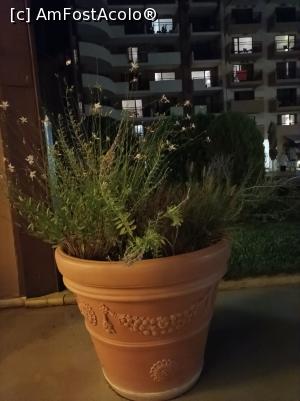 [P48]  -- <small>// FĂRĂ DESCRIERE</small> » foto by Green🦋
 - 
<span class="allrVoted glyphicon glyphicon-heart hidden" id="av1322331"></span>
<a class="m-l-10 hidden" id="sv1322331" onclick="voting_Foto_DelVot(,1322331,935)" role="button">șterge vot <span class="glyphicon glyphicon-remove"></span></a>
<a id="v91322331" class=" c-red"  onclick="voting_Foto_SetVot(1322331)" role="button"><span class="glyphicon glyphicon-heart-empty"></span> <b>LIKE</b> = Votează poza</a> <img class="hidden"  id="f1322331W9" src="/imagini/loader.gif" border="0" /><span class="AjErrMes hidden" id="e1322331ErM"></span>