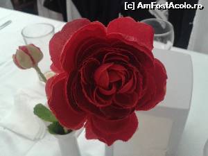 [P17] Alta roza. Erau si albi si galbeni. Sau albe si galbene daca vreti » foto by mugur007
 - 
<span class="allrVoted glyphicon glyphicon-heart hidden" id="av619324"></span>
<a class="m-l-10 hidden" id="sv619324" onclick="voting_Foto_DelVot(,619324,935)" role="button">șterge vot <span class="glyphicon glyphicon-remove"></span></a>
<a id="v9619324" class=" c-red"  onclick="voting_Foto_SetVot(619324)" role="button"><span class="glyphicon glyphicon-heart-empty"></span> <b>LIKE</b> = Votează poza</a> <img class="hidden"  id="f619324W9" src="/imagini/loader.gif" border="0" /><span class="AjErrMes hidden" id="e619324ErM"></span>