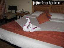 [P18]  -- <small>// FĂRĂ DESCRIERE</small> » foto by CONCEDIU
 - 
<span class="allrVoted glyphicon glyphicon-heart hidden" id="av317625"></span>
<a class="m-l-10 hidden" id="sv317625" onclick="voting_Foto_DelVot(,317625,938)" role="button">șterge vot <span class="glyphicon glyphicon-remove"></span></a>
<a id="v9317625" class=" c-red"  onclick="voting_Foto_SetVot(317625)" role="button"><span class="glyphicon glyphicon-heart-empty"></span> <b>LIKE</b> = Votează poza</a> <img class="hidden"  id="f317625W9" src="/imagini/loader.gif" border="0" /><span class="AjErrMes hidden" id="e317625ErM"></span>