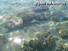 [P21]  -- <small>// FĂRĂ DESCRIERE</small> » foto by CONCEDIU
 - 
<span class="allrVoted glyphicon glyphicon-heart hidden" id="av317628"></span>
<a class="m-l-10 hidden" id="sv317628" onclick="voting_Foto_DelVot(,317628,938)" role="button">șterge vot <span class="glyphicon glyphicon-remove"></span></a>
<a id="v9317628" class=" c-red"  onclick="voting_Foto_SetVot(317628)" role="button"><span class="glyphicon glyphicon-heart-empty"></span> <b>LIKE</b> = Votează poza</a> <img class="hidden"  id="f317628W9" src="/imagini/loader.gif" border="0" /><span class="AjErrMes hidden" id="e317628ErM"></span>