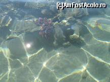 [P22]  -- <small>// FĂRĂ DESCRIERE</small> » foto by CONCEDIU
 - 
<span class="allrVoted glyphicon glyphicon-heart hidden" id="av317629"></span>
<a class="m-l-10 hidden" id="sv317629" onclick="voting_Foto_DelVot(,317629,938)" role="button">șterge vot <span class="glyphicon glyphicon-remove"></span></a>
<a id="v9317629" class=" c-red"  onclick="voting_Foto_SetVot(317629)" role="button"><span class="glyphicon glyphicon-heart-empty"></span> <b>LIKE</b> = Votează poza</a> <img class="hidden"  id="f317629W9" src="/imagini/loader.gif" border="0" /><span class="AjErrMes hidden" id="e317629ErM"></span>