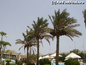 [P03]  -- <small>// FĂRĂ DESCRIERE</small> » foto by phleau
 - 
<span class="allrVoted glyphicon glyphicon-heart hidden" id="av542596"></span>
<a class="m-l-10 hidden" id="sv542596" onclick="voting_Foto_DelVot(,542596,938)" role="button">șterge vot <span class="glyphicon glyphicon-remove"></span></a>
<a id="v9542596" class=" c-red"  onclick="voting_Foto_SetVot(542596)" role="button"><span class="glyphicon glyphicon-heart-empty"></span> <b>LIKE</b> = Votează poza</a> <img class="hidden"  id="f542596W9" src="/imagini/loader.gif" border="0" /><span class="AjErrMes hidden" id="e542596ErM"></span>