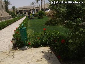 [P04]  -- <small>// FĂRĂ DESCRIERE</small> » foto by phleau
 - 
<span class="allrVoted glyphicon glyphicon-heart hidden" id="av542597"></span>
<a class="m-l-10 hidden" id="sv542597" onclick="voting_Foto_DelVot(,542597,938)" role="button">șterge vot <span class="glyphicon glyphicon-remove"></span></a>
<a id="v9542597" class=" c-red"  onclick="voting_Foto_SetVot(542597)" role="button"><span class="glyphicon glyphicon-heart-empty"></span> <b>LIKE</b> = Votează poza</a> <img class="hidden"  id="f542597W9" src="/imagini/loader.gif" border="0" /><span class="AjErrMes hidden" id="e542597ErM"></span>