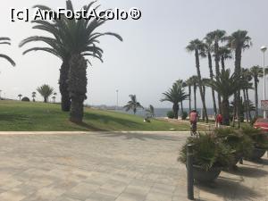 [P16] faleza din dreptul plajei del Duque » foto by lauraned
 - 
<span class="allrVoted glyphicon glyphicon-heart hidden" id="av1374136"></span>
<a class="m-l-10 hidden" id="sv1374136" onclick="voting_Foto_DelVot(,1374136,941)" role="button">șterge vot <span class="glyphicon glyphicon-remove"></span></a>
<a id="v91374136" class=" c-red"  onclick="voting_Foto_SetVot(1374136)" role="button"><span class="glyphicon glyphicon-heart-empty"></span> <b>LIKE</b> = Votează poza</a> <img class="hidden"  id="f1374136W9" src="/imagini/loader.gif" border="0" /><span class="AjErrMes hidden" id="e1374136ErM"></span>