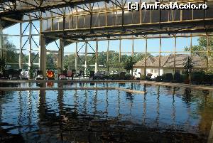 [P09] Piscina cu apa termala » foto by Nicu
 - 
<span class="allrVoted glyphicon glyphicon-heart hidden" id="av666709"></span>
<a class="m-l-10 hidden" id="sv666709" onclick="voting_Foto_DelVot(,666709,944)" role="button">șterge vot <span class="glyphicon glyphicon-remove"></span></a>
<a id="v9666709" class=" c-red"  onclick="voting_Foto_SetVot(666709)" role="button"><span class="glyphicon glyphicon-heart-empty"></span> <b>LIKE</b> = Votează poza</a> <img class="hidden"  id="f666709W9" src="/imagini/loader.gif" border="0" /><span class="AjErrMes hidden" id="e666709ErM"></span>