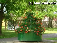[P08] parcul este exemplar amenajat, intretinut si pastrat  » foto by tm67bru
 - 
<span class="allrVoted glyphicon glyphicon-heart hidden" id="av2276"></span>
<a class="m-l-10 hidden" id="sv2276" onclick="voting_Foto_DelVot(,2276,944)" role="button">șterge vot <span class="glyphicon glyphicon-remove"></span></a>
<a id="v92276" class=" c-red"  onclick="voting_Foto_SetVot(2276)" role="button"><span class="glyphicon glyphicon-heart-empty"></span> <b>LIKE</b> = Votează poza</a> <img class="hidden"  id="f2276W9" src="/imagini/loader.gif" border="0" /><span class="AjErrMes hidden" id="e2276ErM"></span>