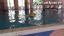 [P09] Bălăceală în piscina interioaraă » foto by andieelen
 - 
<span class="allrVoted glyphicon glyphicon-heart hidden" id="av397589"></span>
<a class="m-l-10 hidden" id="sv397589" onclick="voting_Foto_DelVot(,397589,947)" role="button">șterge vot <span class="glyphicon glyphicon-remove"></span></a>
<a id="v9397589" class=" c-red"  onclick="voting_Foto_SetVot(397589)" role="button"><span class="glyphicon glyphicon-heart-empty"></span> <b>LIKE</b> = Votează poza</a> <img class="hidden"  id="f397589W9" src="/imagini/loader.gif" border="0" /><span class="AjErrMes hidden" id="e397589ErM"></span>