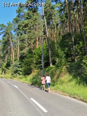 [P15] Plimbare spre Tilişca » foto by Capcaunu74
 - 
<span class="allrVoted glyphicon glyphicon-heart hidden" id="av1183554"></span>
<a class="m-l-10 hidden" id="sv1183554" onclick="voting_Foto_DelVot(,1183554,956)" role="button">șterge vot <span class="glyphicon glyphicon-remove"></span></a>
<a id="v91183554" class=" c-red"  onclick="voting_Foto_SetVot(1183554)" role="button"><span class="glyphicon glyphicon-heart-empty"></span> <b>LIKE</b> = Votează poza</a> <img class="hidden"  id="f1183554W9" src="/imagini/loader.gif" border="0" /><span class="AjErrMes hidden" id="e1183554ErM"></span>