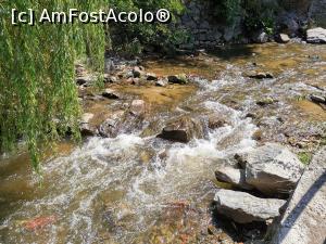 [P16] Apă rece de munte » foto by Capcaunu74
 - 
<span class="allrVoted glyphicon glyphicon-heart hidden" id="av1183555"></span>
<a class="m-l-10 hidden" id="sv1183555" onclick="voting_Foto_DelVot(,1183555,956)" role="button">șterge vot <span class="glyphicon glyphicon-remove"></span></a>
<a id="v91183555" class=" c-red"  onclick="voting_Foto_SetVot(1183555)" role="button"><span class="glyphicon glyphicon-heart-empty"></span> <b>LIKE</b> = Votează poza</a> <img class="hidden"  id="f1183555W9" src="/imagini/loader.gif" border="0" /><span class="AjErrMes hidden" id="e1183555ErM"></span>