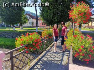 [P02] La plimbare. » foto by Capcaunu74
 - 
<span class="allrVoted glyphicon glyphicon-heart hidden" id="av1183541"></span>
<a class="m-l-10 hidden" id="sv1183541" onclick="voting_Foto_DelVot(,1183541,956)" role="button">șterge vot <span class="glyphicon glyphicon-remove"></span></a>
<a id="v91183541" class=" c-red"  onclick="voting_Foto_SetVot(1183541)" role="button"><span class="glyphicon glyphicon-heart-empty"></span> <b>LIKE</b> = Votează poza</a> <img class="hidden"  id="f1183541W9" src="/imagini/loader.gif" border="0" /><span class="AjErrMes hidden" id="e1183541ErM"></span>