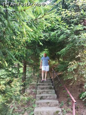 [P20] Dat caloriile jos » foto by Capcaunu74
 - 
<span class="allrVoted glyphicon glyphicon-heart hidden" id="av1183559"></span>
<a class="m-l-10 hidden" id="sv1183559" onclick="voting_Foto_DelVot(,1183559,956)" role="button">șterge vot <span class="glyphicon glyphicon-remove"></span></a>
<a id="v91183559" class=" c-red"  onclick="voting_Foto_SetVot(1183559)" role="button"><span class="glyphicon glyphicon-heart-empty"></span> <b>LIKE</b> = Votează poza</a> <img class="hidden"  id="f1183559W9" src="/imagini/loader.gif" border="0" /><span class="AjErrMes hidden" id="e1183559ErM"></span>