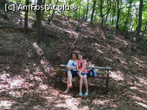 [P38] Odihnă &icirc;n pădure » foto by Capcaunu74
 - 
<span class="allrVoted glyphicon glyphicon-heart hidden" id="av1183577"></span>
<a class="m-l-10 hidden" id="sv1183577" onclick="voting_Foto_DelVot(,1183577,956)" role="button">șterge vot <span class="glyphicon glyphicon-remove"></span></a>
<a id="v91183577" class=" c-red"  onclick="voting_Foto_SetVot(1183577)" role="button"><span class="glyphicon glyphicon-heart-empty"></span> <b>LIKE</b> = Votează poza</a> <img class="hidden"  id="f1183577W9" src="/imagini/loader.gif" border="0" /><span class="AjErrMes hidden" id="e1183577ErM"></span>