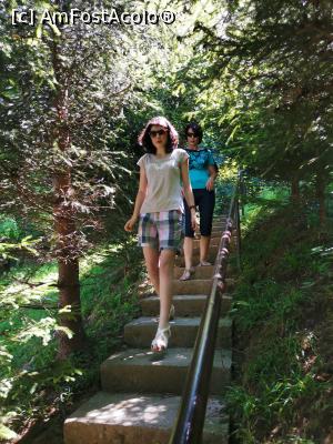 [P06] De la plimbare » foto by Capcaunu74
 - 
<span class="allrVoted glyphicon glyphicon-heart hidden" id="av1183545"></span>
<a class="m-l-10 hidden" id="sv1183545" onclick="voting_Foto_DelVot(,1183545,956)" role="button">șterge vot <span class="glyphicon glyphicon-remove"></span></a>
<a id="v91183545" class=" c-red"  onclick="voting_Foto_SetVot(1183545)" role="button"><span class="glyphicon glyphicon-heart-empty"></span> <b>LIKE</b> = Votează poza</a> <img class="hidden"  id="f1183545W9" src="/imagini/loader.gif" border="0" /><span class="AjErrMes hidden" id="e1183545ErM"></span>