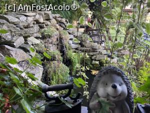 [P57] Pensiunea Domnescu, Sălişte - iazul cu peşti » foto by nicole33
 - 
<span class="allrVoted glyphicon glyphicon-heart hidden" id="av1407009"></span>
<a class="m-l-10 hidden" id="sv1407009" onclick="voting_Foto_DelVot(,1407009,956)" role="button">șterge vot <span class="glyphicon glyphicon-remove"></span></a>
<a id="v91407009" class=" c-red"  onclick="voting_Foto_SetVot(1407009)" role="button"><span class="glyphicon glyphicon-heart-empty"></span> <b>LIKE</b> = Votează poza</a> <img class="hidden"  id="f1407009W9" src="/imagini/loader.gif" border="0" /><span class="AjErrMes hidden" id="e1407009ErM"></span>