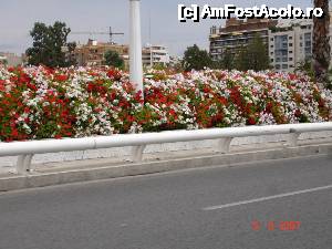 [P07] Podul de flori » foto by arru
 - 
<span class="allrVoted glyphicon glyphicon-heart hidden" id="av493123"></span>
<a class="m-l-10 hidden" id="sv493123" onclick="voting_Foto_DelVot(,493123,959)" role="button">șterge vot <span class="glyphicon glyphicon-remove"></span></a>
<a id="v9493123" class=" c-red"  onclick="voting_Foto_SetVot(493123)" role="button"><span class="glyphicon glyphicon-heart-empty"></span> <b>LIKE</b> = Votează poza</a> <img class="hidden"  id="f493123W9" src="/imagini/loader.gif" border="0" /><span class="AjErrMes hidden" id="e493123ErM"></span>