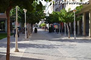[P17] O strada pietonala in Benicarló, oraselul fara semafoare » foto by Doris77
 - 
<span class="allrVoted glyphicon glyphicon-heart hidden" id="av661434"></span>
<a class="m-l-10 hidden" id="sv661434" onclick="voting_Foto_DelVot(,661434,959)" role="button">șterge vot <span class="glyphicon glyphicon-remove"></span></a>
<a id="v9661434" class=" c-red"  onclick="voting_Foto_SetVot(661434)" role="button"><span class="glyphicon glyphicon-heart-empty"></span> <b>LIKE</b> = Votează poza</a> <img class="hidden"  id="f661434W9" src="/imagini/loader.gif" border="0" /><span class="AjErrMes hidden" id="e661434ErM"></span>