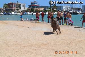 [P04] Taurul de culoare bej era o adevarata forta a naturii » foto by Doris77
 - 
<span class="allrVoted glyphicon glyphicon-heart hidden" id="av661417"></span>
<a class="m-l-10 hidden" id="sv661417" onclick="voting_Foto_DelVot(,661417,959)" role="button">șterge vot <span class="glyphicon glyphicon-remove"></span></a>
<a id="v9661417" class=" c-red"  onclick="voting_Foto_SetVot(661417)" role="button"><span class="glyphicon glyphicon-heart-empty"></span> <b>LIKE</b> = Votează poza</a> <img class="hidden"  id="f661417W9" src="/imagini/loader.gif" border="0" /><span class="AjErrMes hidden" id="e661417ErM"></span>