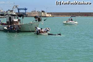 [P07] Bou al mar - din fauna 'marina' autohtona - taurul ii trage lejer cu barca daca nu reusesc sa-l lege cu funia de coarne » foto by Doris77
 - 
<span class="allrVoted glyphicon glyphicon-heart hidden" id="av661424"></span>
<a class="m-l-10 hidden" id="sv661424" onclick="voting_Foto_DelVot(,661424,959)" role="button">șterge vot <span class="glyphicon glyphicon-remove"></span></a>
<a id="v9661424" class=" c-red"  onclick="voting_Foto_SetVot(661424)" role="button"><span class="glyphicon glyphicon-heart-empty"></span> <b>LIKE</b> = Votează poza</a> <img class="hidden"  id="f661424W9" src="/imagini/loader.gif" border="0" /><span class="AjErrMes hidden" id="e661424ErM"></span>