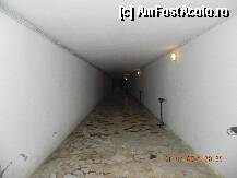 [P37] tunelul care duce de la hotel la plaja de 30 m » foto by roloback
 - 
<span class="allrVoted glyphicon glyphicon-heart hidden" id="av243205"></span>
<a class="m-l-10 hidden" id="sv243205" onclick="voting_Foto_DelVot(,243205,960)" role="button">șterge vot <span class="glyphicon glyphicon-remove"></span></a>
<a id="v9243205" class=" c-red"  onclick="voting_Foto_SetVot(243205)" role="button"><span class="glyphicon glyphicon-heart-empty"></span> <b>LIKE</b> = Votează poza</a> <img class="hidden"  id="f243205W9" src="/imagini/loader.gif" border="0" /><span class="AjErrMes hidden" id="e243205ErM"></span>