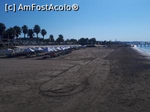 [P10] plaja de dimineață » foto by ovy2k5
 - 
<span class="allrVoted glyphicon glyphicon-heart hidden" id="av1183672"></span>
<a class="m-l-10 hidden" id="sv1183672" onclick="voting_Foto_DelVot(,1183672,97)" role="button">șterge vot <span class="glyphicon glyphicon-remove"></span></a>
<a id="v91183672" class=" c-red"  onclick="voting_Foto_SetVot(1183672)" role="button"><span class="glyphicon glyphicon-heart-empty"></span> <b>LIKE</b> = Votează poza</a> <img class="hidden"  id="f1183672W9" src="/imagini/loader.gif" border="0" /><span class="AjErrMes hidden" id="e1183672ErM"></span>