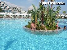 [P01] la piscina... » foto by iulia_mitrache*
 - 
<span class="allrVoted glyphicon glyphicon-heart hidden" id="av227820"></span>
<a class="m-l-10 hidden" id="sv227820" onclick="voting_Foto_DelVot(,227820,97)" role="button">șterge vot <span class="glyphicon glyphicon-remove"></span></a>
<a id="v9227820" class=" c-red"  onclick="voting_Foto_SetVot(227820)" role="button"><span class="glyphicon glyphicon-heart-empty"></span> <b>LIKE</b> = Votează poza</a> <img class="hidden"  id="f227820W9" src="/imagini/loader.gif" border="0" /><span class="AjErrMes hidden" id="e227820ErM"></span>