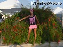 [P12]  -- <small>// FĂRĂ DESCRIERE</small> » foto by jpg29*
 - 
<span class="allrVoted glyphicon glyphicon-heart hidden" id="av80967"></span>
<a class="m-l-10 hidden" id="sv80967" onclick="voting_Foto_DelVot(,80967,97)" role="button">șterge vot <span class="glyphicon glyphicon-remove"></span></a>
<a id="v980967" class=" c-red"  onclick="voting_Foto_SetVot(80967)" role="button"><span class="glyphicon glyphicon-heart-empty"></span> <b>LIKE</b> = Votează poza</a> <img class="hidden"  id="f80967W9" src="/imagini/loader.gif" border="0" /><span class="AjErrMes hidden" id="e80967ErM"></span>