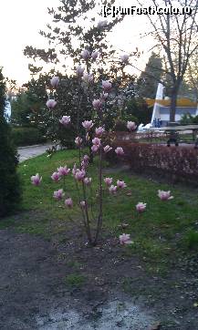 [P03]  -- <small>// FĂRĂ DESCRIERE</small> » foto by sandi67
 - 
<span class="allrVoted glyphicon glyphicon-heart hidden" id="av196649"></span>
<a class="m-l-10 hidden" id="sv196649" onclick="voting_Foto_DelVot(,196649,976)" role="button">șterge vot <span class="glyphicon glyphicon-remove"></span></a>
<a id="v9196649" class=" c-red"  onclick="voting_Foto_SetVot(196649)" role="button"><span class="glyphicon glyphicon-heart-empty"></span> <b>LIKE</b> = Votează poza</a> <img class="hidden"  id="f196649W9" src="/imagini/loader.gif" border="0" /><span class="AjErrMes hidden" id="e196649ErM"></span>