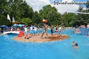 [P02] animatori la piscina » foto by buburuza1
 - 
<span class="allrVoted glyphicon glyphicon-heart hidden" id="av535358"></span>
<a class="m-l-10 hidden" id="sv535358" onclick="voting_Foto_DelVot(,535358,976)" role="button">șterge vot <span class="glyphicon glyphicon-remove"></span></a>
<a id="v9535358" class=" c-red"  onclick="voting_Foto_SetVot(535358)" role="button"><span class="glyphicon glyphicon-heart-empty"></span> <b>LIKE</b> = Votează poza</a> <img class="hidden"  id="f535358W9" src="/imagini/loader.gif" border="0" /><span class="AjErrMes hidden" id="e535358ErM"></span>