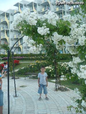 [P18] Parcul cu flori dintre hotel si plaja » foto by Denis70
 - 
<span class="allrVoted glyphicon glyphicon-heart hidden" id="av541796"></span>
<a class="m-l-10 hidden" id="sv541796" onclick="voting_Foto_DelVot(,541796,979)" role="button">șterge vot <span class="glyphicon glyphicon-remove"></span></a>
<a id="v9541796" class=" c-red"  onclick="voting_Foto_SetVot(541796)" role="button"><span class="glyphicon glyphicon-heart-empty"></span> <b>LIKE</b> = Votează poza</a> <img class="hidden"  id="f541796W9" src="/imagini/loader.gif" border="0" /><span class="AjErrMes hidden" id="e541796ErM"></span>