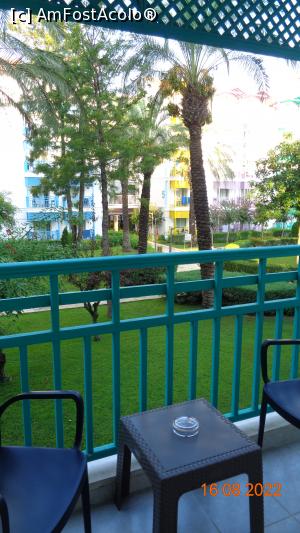 [P04] Micuțul nostru balcon » foto by Alina53
 - 
<span class="allrVoted glyphicon glyphicon-heart hidden" id="av1321529"></span>
<a class="m-l-10 hidden" id="sv1321529" onclick="voting_Foto_DelVot(,1321529,99)" role="button">șterge vot <span class="glyphicon glyphicon-remove"></span></a>
<a id="v91321529" class=" c-red"  onclick="voting_Foto_SetVot(1321529)" role="button"><span class="glyphicon glyphicon-heart-empty"></span> <b>LIKE</b> = Votează poza</a> <img class="hidden"  id="f1321529W9" src="/imagini/loader.gif" border="0" /><span class="AjErrMes hidden" id="e1321529ErM"></span>