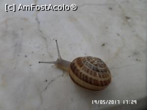 [P49] Un turist mai mic la Crystal » foto by Alina53
 - 
<span class="allrVoted glyphicon glyphicon-heart hidden" id="av858959"></span>
<a class="m-l-10 hidden" id="sv858959" onclick="voting_Foto_DelVot(,858959,99)" role="button">șterge vot <span class="glyphicon glyphicon-remove"></span></a>
<a id="v9858959" class=" c-red"  onclick="voting_Foto_SetVot(858959)" role="button"><span class="glyphicon glyphicon-heart-empty"></span> <b>LIKE</b> = Votează poza</a> <img class="hidden"  id="f858959W9" src="/imagini/loader.gif" border="0" /><span class="AjErrMes hidden" id="e858959ErM"></span>