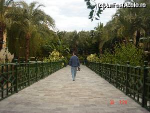 [P29]  -- <small>// FĂRĂ DESCRIERE</small> » foto by crismis
 - 
<span class="allrVoted glyphicon glyphicon-heart hidden" id="av585627"></span>
<a class="m-l-10 hidden" id="sv585627" onclick="voting_Foto_DelVot(,585627,99)" role="button">șterge vot <span class="glyphicon glyphicon-remove"></span></a>
<a id="v9585627" class=" c-red"  onclick="voting_Foto_SetVot(585627)" role="button"><span class="glyphicon glyphicon-heart-empty"></span> <b>LIKE</b> = Votează poza</a> <img class="hidden"  id="f585627W9" src="/imagini/loader.gif" border="0" /><span class="AjErrMes hidden" id="e585627ErM"></span>