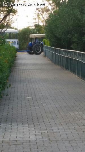 [P11] tractorasul catre plaja » foto by laura 08
 - 
<span class="allrVoted glyphicon glyphicon-heart hidden" id="av837002"></span>
<a class="m-l-10 hidden" id="sv837002" onclick="voting_Foto_DelVot(,837002,99)" role="button">șterge vot <span class="glyphicon glyphicon-remove"></span></a>
<a id="v9837002" class=" c-red"  onclick="voting_Foto_SetVot(837002)" role="button"><span class="glyphicon glyphicon-heart-empty"></span> <b>LIKE</b> = Votează poza</a> <img class="hidden"  id="f837002W9" src="/imagini/loader.gif" border="0" /><span class="AjErrMes hidden" id="e837002ErM"></span>