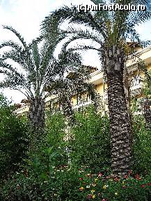 [P12] PARAISO VERDE - gradina » foto by Liaa*
 - 
<span class="allrVoted glyphicon glyphicon-heart hidden" id="av218227"></span>
<a class="m-l-10 hidden" id="sv218227" onclick="voting_Foto_DelVot(,218227,99)" role="button">șterge vot <span class="glyphicon glyphicon-remove"></span></a>
<a id="v9218227" class=" c-red"  onclick="voting_Foto_SetVot(218227)" role="button"><span class="glyphicon glyphicon-heart-empty"></span> <b>LIKE</b> = Votează poza</a> <img class="hidden"  id="f218227W9" src="/imagini/loader.gif" border="0" /><span class="AjErrMes hidden" id="e218227ErM"></span>