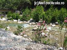 [P26] PARAISO VERDE - Jeep Safari catre cascada 2 » foto by Liaa*
 - 
<span class="allrVoted glyphicon glyphicon-heart hidden" id="av218242"></span>
<a class="m-l-10 hidden" id="sv218242" onclick="voting_Foto_DelVot(,218242,99)" role="button">șterge vot <span class="glyphicon glyphicon-remove"></span></a>
<a id="v9218242" class=" c-red"  onclick="voting_Foto_SetVot(218242)" role="button"><span class="glyphicon glyphicon-heart-empty"></span> <b>LIKE</b> = Votează poza</a> <img class="hidden"  id="f218242W9" src="/imagini/loader.gif" border="0" /><span class="AjErrMes hidden" id="e218242ErM"></span>