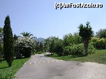 [P08] strada care duce spre clubul privat de vile din acharavi » foto by aimee
 - 
<span class="allrVoted glyphicon glyphicon-heart hidden" id="av114205"></span>
<a class="m-l-10 hidden" id="sv114205" onclick="voting_Foto_DelVot(,114205,993)" role="button">șterge vot <span class="glyphicon glyphicon-remove"></span></a>
<a id="v9114205" class=" c-red"  onclick="voting_Foto_SetVot(114205)" role="button"><span class="glyphicon glyphicon-heart-empty"></span> <b>LIKE</b> = Votează poza</a> <img class="hidden"  id="f114205W9" src="/imagini/loader.gif" border="0" /><span class="AjErrMes hidden" id="e114205ErM"></span>
