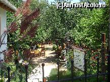 [P09] taverna lemon garden -acharavi » foto by aimee
 - 
<span class="allrVoted glyphicon glyphicon-heart hidden" id="av114210"></span>
<a class="m-l-10 hidden" id="sv114210" onclick="voting_Foto_DelVot(,114210,993)" role="button">șterge vot <span class="glyphicon glyphicon-remove"></span></a>
<a id="v9114210" class=" c-red"  onclick="voting_Foto_SetVot(114210)" role="button"><span class="glyphicon glyphicon-heart-empty"></span> <b>LIKE</b> = Votează poza</a> <img class="hidden"  id="f114210W9" src="/imagini/loader.gif" border="0" /><span class="AjErrMes hidden" id="e114210ErM"></span>