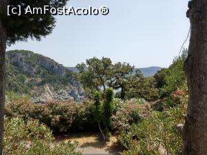 [P61] Paleokastritsa, vedere de la mânăstire. » foto by maryka
 - 
<span class="allrVoted glyphicon glyphicon-heart hidden" id="av1245418"></span>
<a class="m-l-10 hidden" id="sv1245418" onclick="voting_Foto_DelVot(,1245418,993)" role="button">șterge vot <span class="glyphicon glyphicon-remove"></span></a>
<a id="v91245418" class=" c-red"  onclick="voting_Foto_SetVot(1245418)" role="button"><span class="glyphicon glyphicon-heart-empty"></span> <b>LIKE</b> = Votează poza</a> <img class="hidden"  id="f1245418W9" src="/imagini/loader.gif" border="0" /><span class="AjErrMes hidden" id="e1245418ErM"></span>