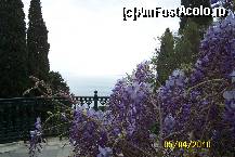[P41] Flori si chiparosi » foto by Alina53
 - 
<span class="allrVoted glyphicon glyphicon-heart hidden" id="av66671"></span>
<a class="m-l-10 hidden" id="sv66671" onclick="voting_Foto_DelVot(,66671,993)" role="button">șterge vot <span class="glyphicon glyphicon-remove"></span></a>
<a id="v966671" class=" c-red"  onclick="voting_Foto_SetVot(66671)" role="button"><span class="glyphicon glyphicon-heart-empty"></span> <b>LIKE</b> = Votează poza</a> <img class="hidden"  id="f66671W9" src="/imagini/loader.gif" border="0" /><span class="AjErrMes hidden" id="e66671ErM"></span>